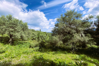 Meganisi Nature Serenity 02.jpg